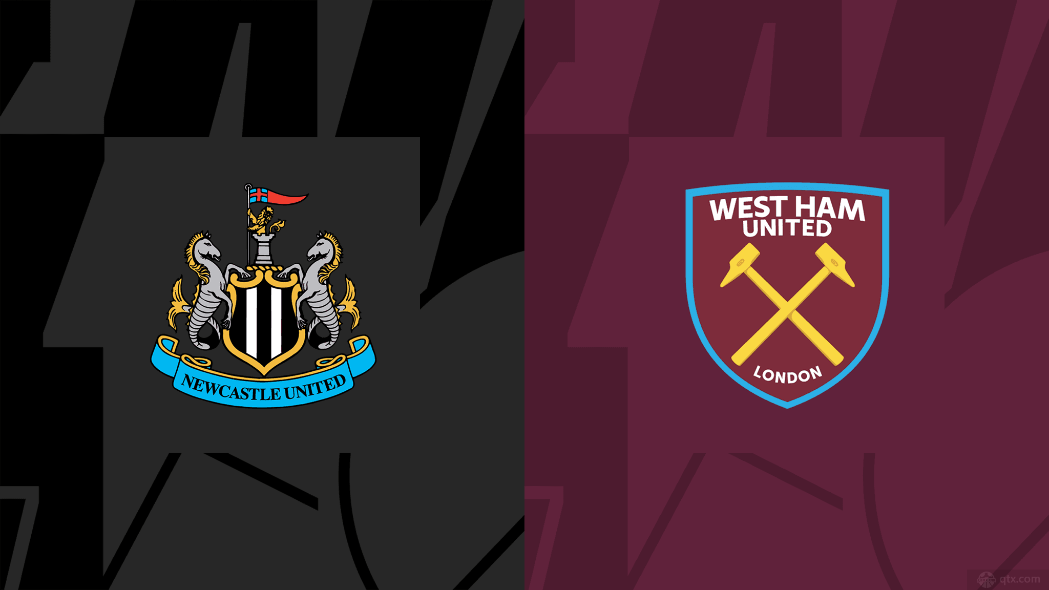 布鲁日常常 布鲁日常常